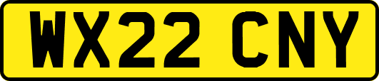 WX22CNY