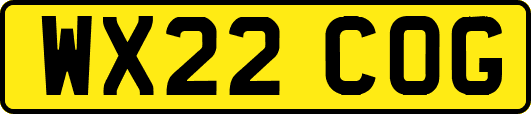 WX22COG