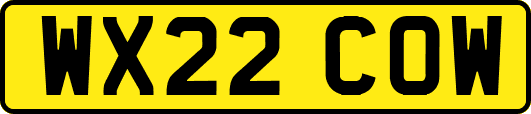 WX22COW