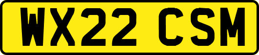 WX22CSM