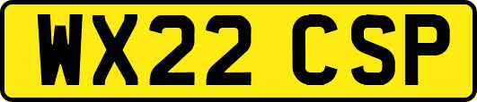 WX22CSP
