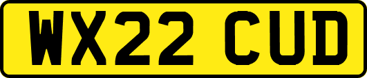 WX22CUD