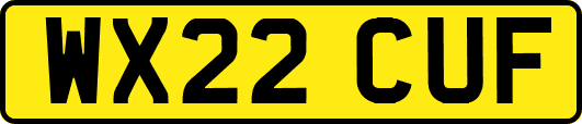 WX22CUF