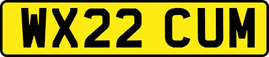 WX22CUM