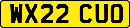 WX22CUO