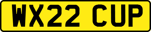 WX22CUP