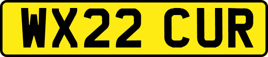 WX22CUR