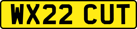 WX22CUT
