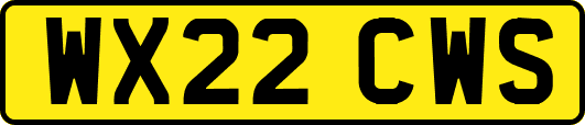 WX22CWS