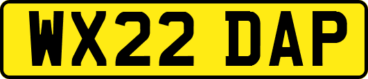 WX22DAP