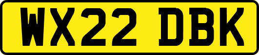 WX22DBK