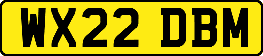 WX22DBM
