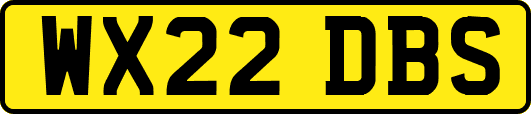 WX22DBS