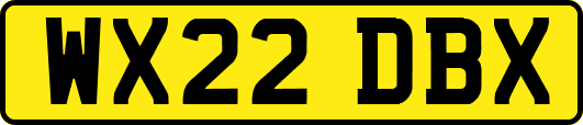 WX22DBX