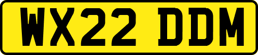 WX22DDM