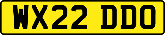 WX22DDO