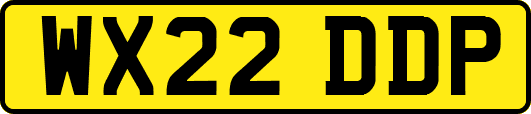 WX22DDP