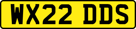 WX22DDS