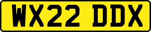 WX22DDX