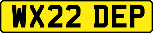 WX22DEP