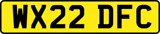 WX22DFC