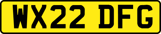 WX22DFG