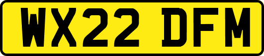 WX22DFM