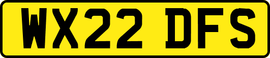 WX22DFS