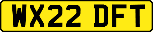 WX22DFT