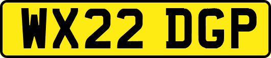 WX22DGP