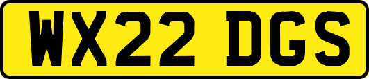 WX22DGS