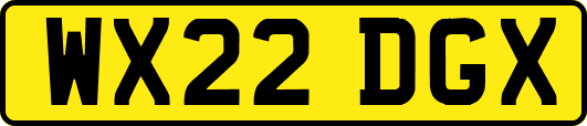 WX22DGX