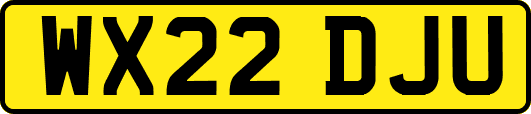 WX22DJU