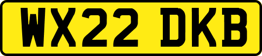 WX22DKB