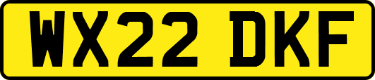 WX22DKF