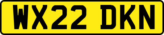 WX22DKN