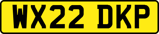 WX22DKP
