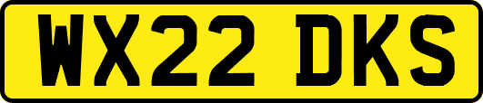 WX22DKS