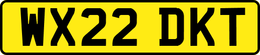 WX22DKT