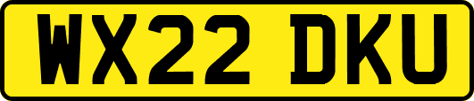 WX22DKU