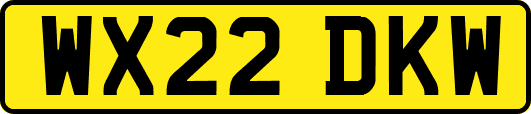 WX22DKW