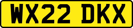 WX22DKX