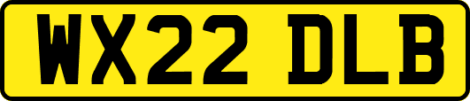 WX22DLB