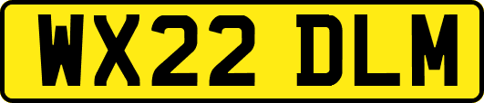 WX22DLM