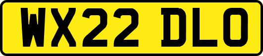 WX22DLO