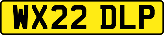 WX22DLP
