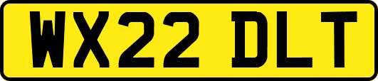 WX22DLT