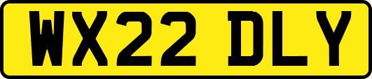 WX22DLY