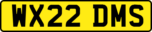WX22DMS
