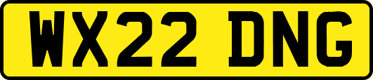 WX22DNG